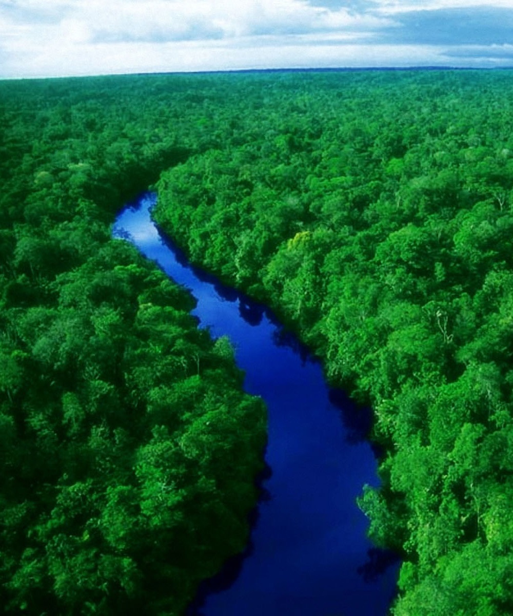 原创巴西亚马孙河热带雨林大火对世界气候有影响吗