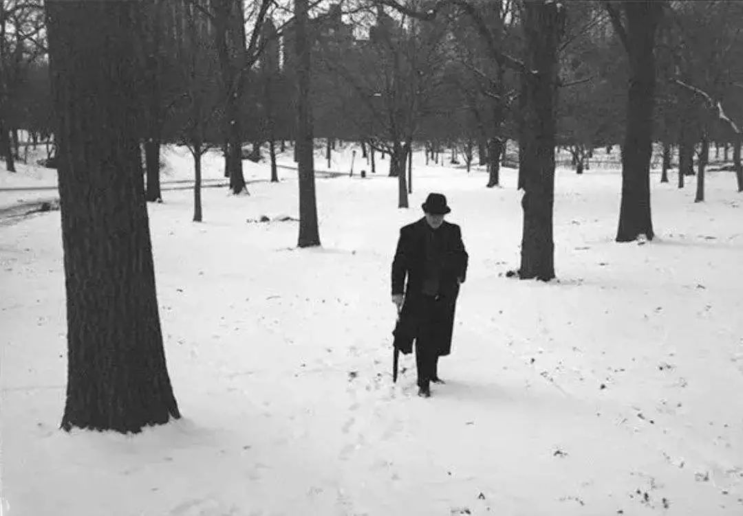 木心逝世8周年l你再不来我要下雪了