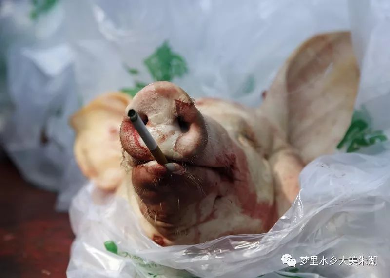 湖乡年味雷开艳▎开年猪祭猪头