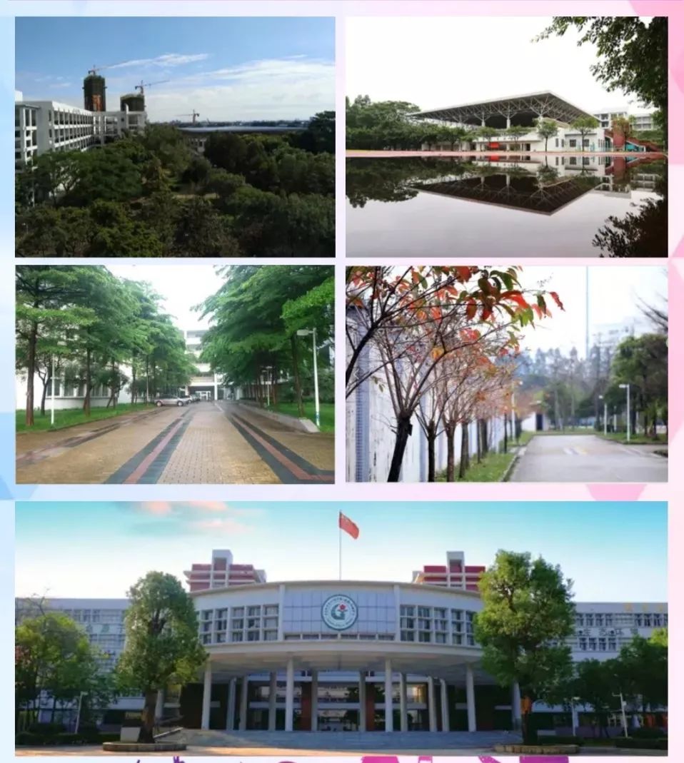 石排中学校史文化长廊揭牌,为校园增添文化坐标