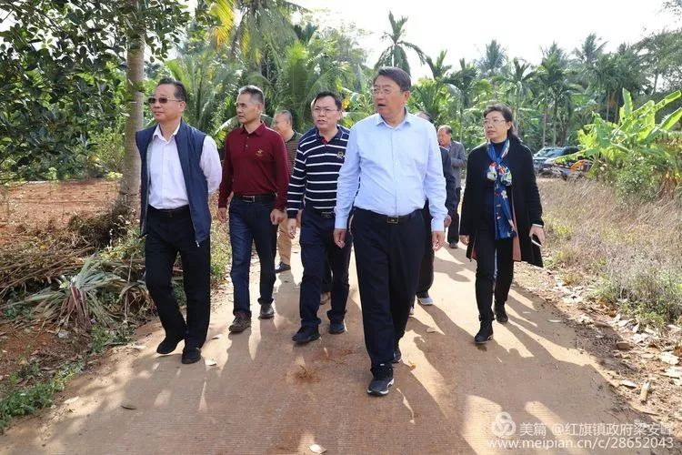 中国林科院亚林所所长王浩杰随行,海南省林业局局长夏斐,海南省林,局