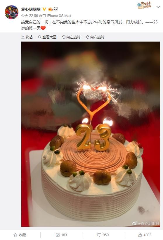 原创袁心玥23岁生日蛋糕有亮点29字概括生日一天龚翔宇发来贺信