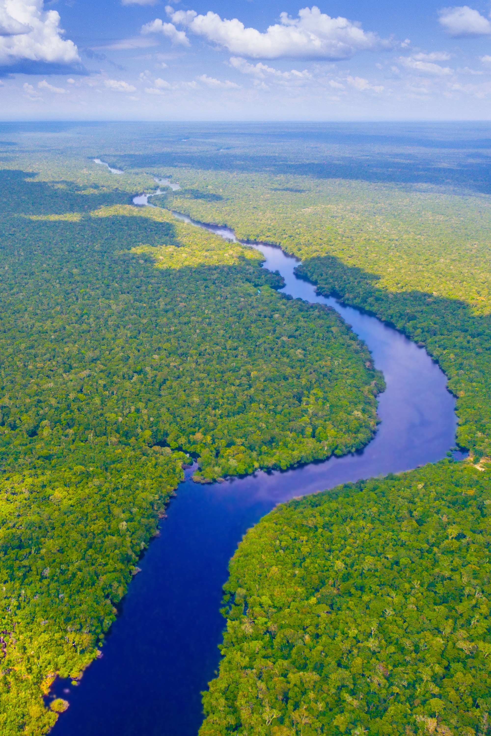 亚马逊热带雨林,面积约550万平方公里,占全球热带雨林一半以上,排第二