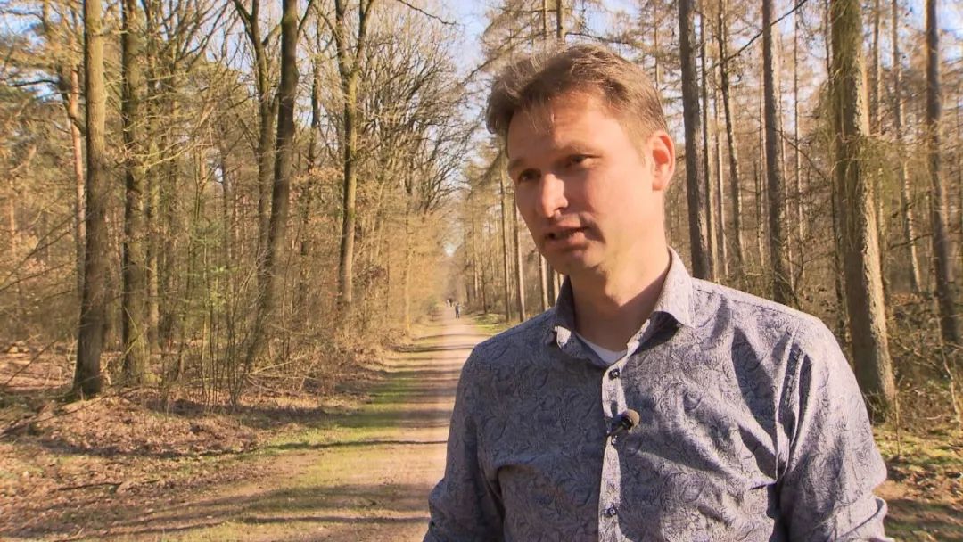 气候变化的后果 没有白色圣诞 但可能出现花粉症 患者