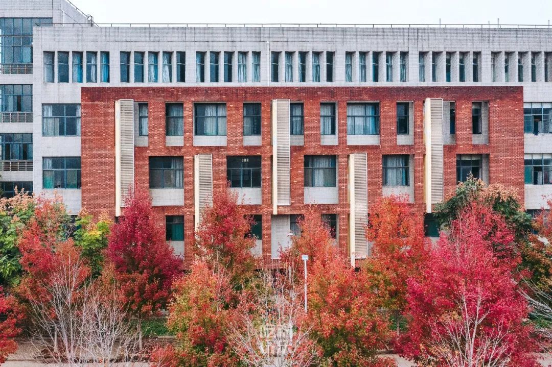 武汉最美的漫山红叶,就藏在文华学院里!