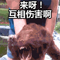 240_240gif 动态图 动图