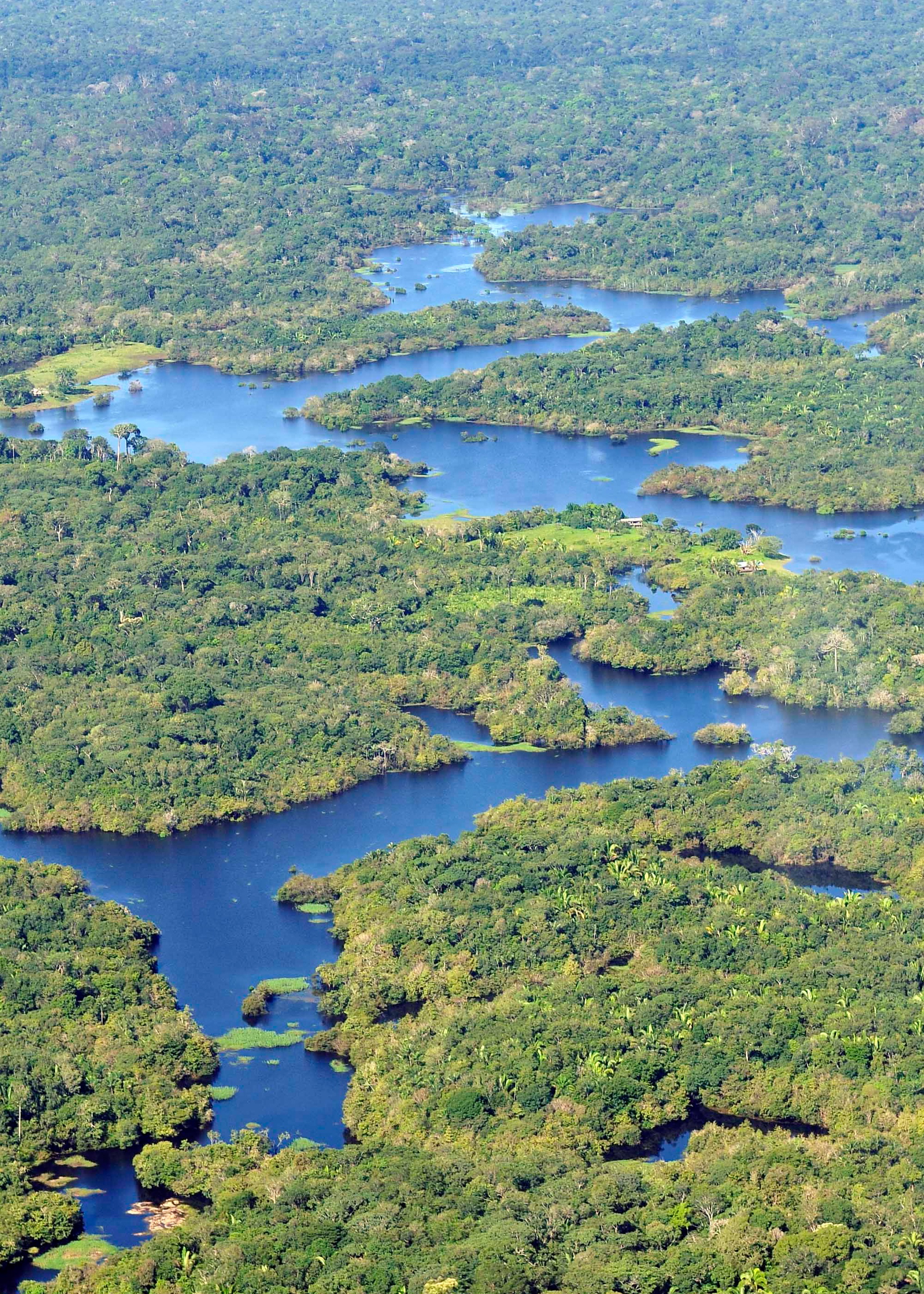 巴西亚马孙河热带雨林大火,对世界气候有影响吗?
