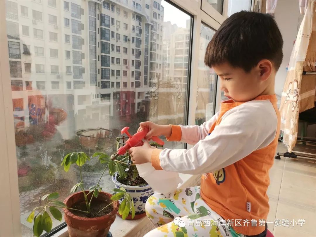 齐小61新闻争做美丽庭院小能手齐鲁实小晒晒我的家寻找最美小花匠