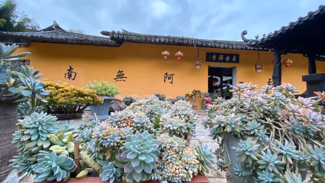 永嘉县普安寺2020年全年普佛已开始报名