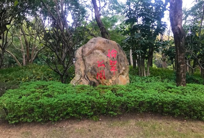 超好玩桂城怡翠公园改造升级儿童游乐园开放快来打卡