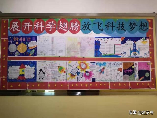 志丹县沙道子小学2019第二届校园科技节(图3)