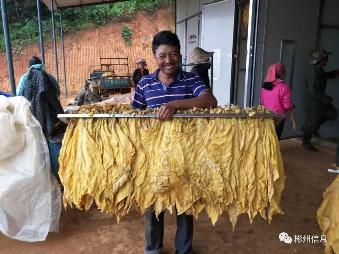 长武在外游子冯军成作品《烤烟炉》,勾起了无数人的记忆!