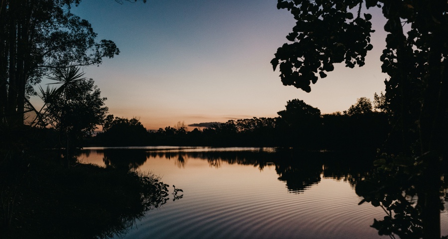 家电市场下跌只是暂时的，惠而浦苏泊尔澳柯玛威力遭遇质量劫-家电圈官网