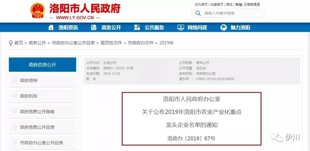 洛阳资讯:城市活力的脉动