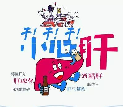 灵芝孢子粉解酒竟然这么厉害吃它可保肝护肝肝硬化了就来不及了