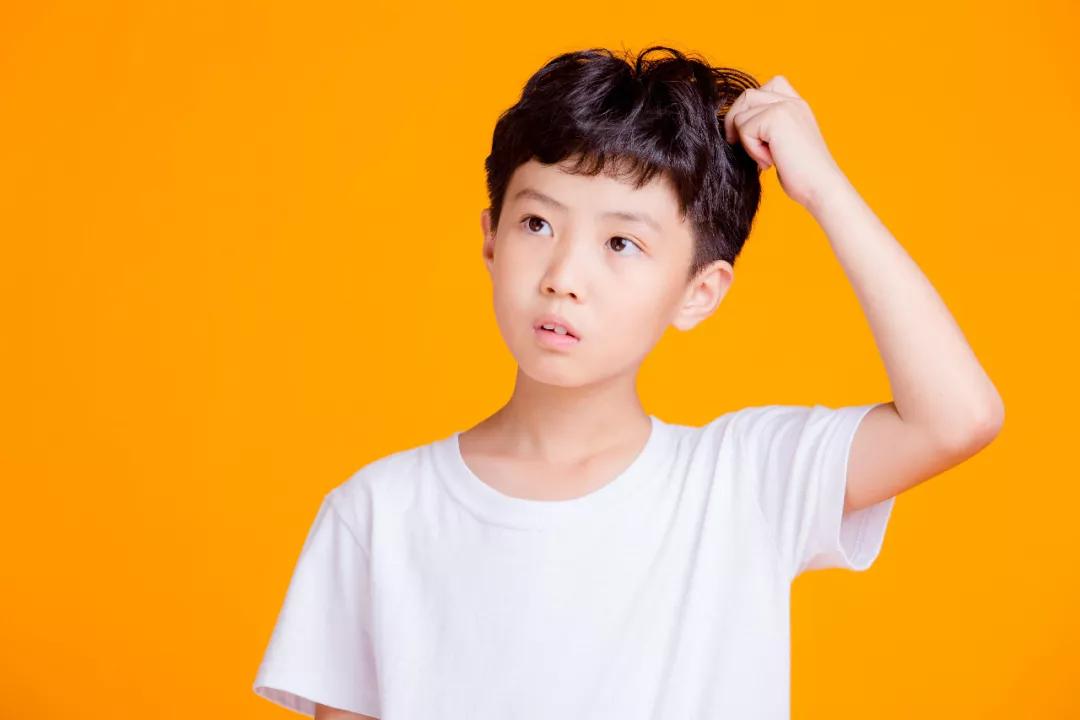 贾梓洺主演《我哥我嫂》在上海电视剧频道首播