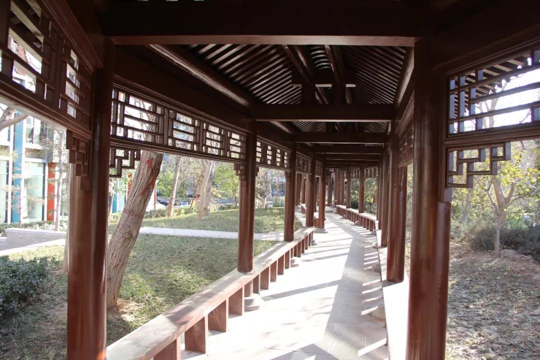 石家庄主干道沿线三座游园改造完成,有你家附近的吗?