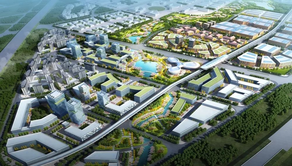 新岱山大桥通车啦