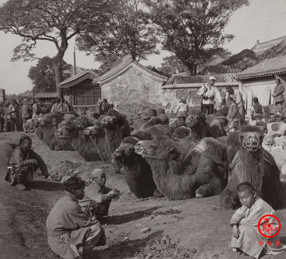 原创1901年老照片:电视剧演不出来的真实清朝末年社会