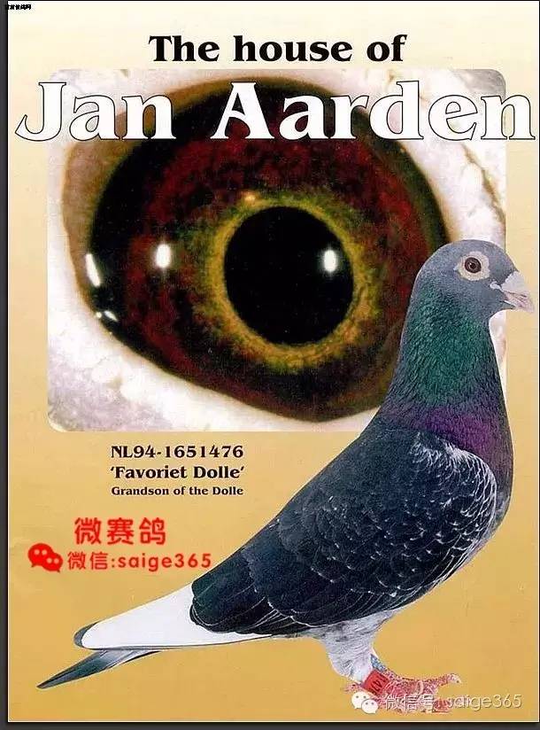 收藏国外网站找到的珍贵杨阿腾照片图集