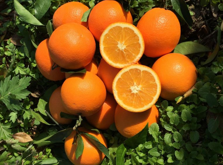 赣南脐橙丨不负大牌不负你