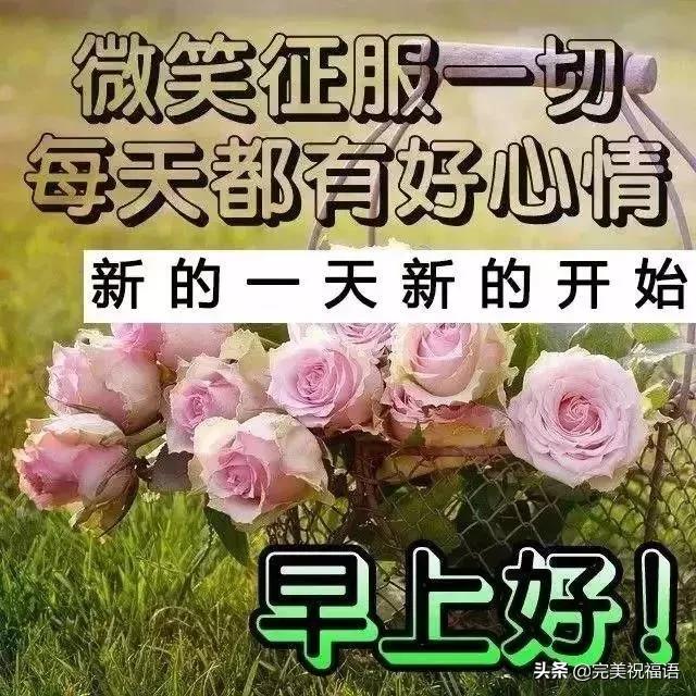 週一早上好祝福語帶圖片早晨問候唯美句子