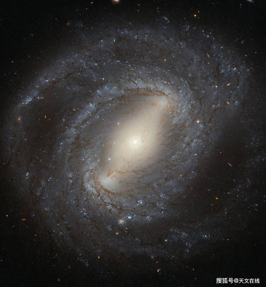 m105 位于大熊星座内部和周围的星系 m81 星系群(m81 m82 m101