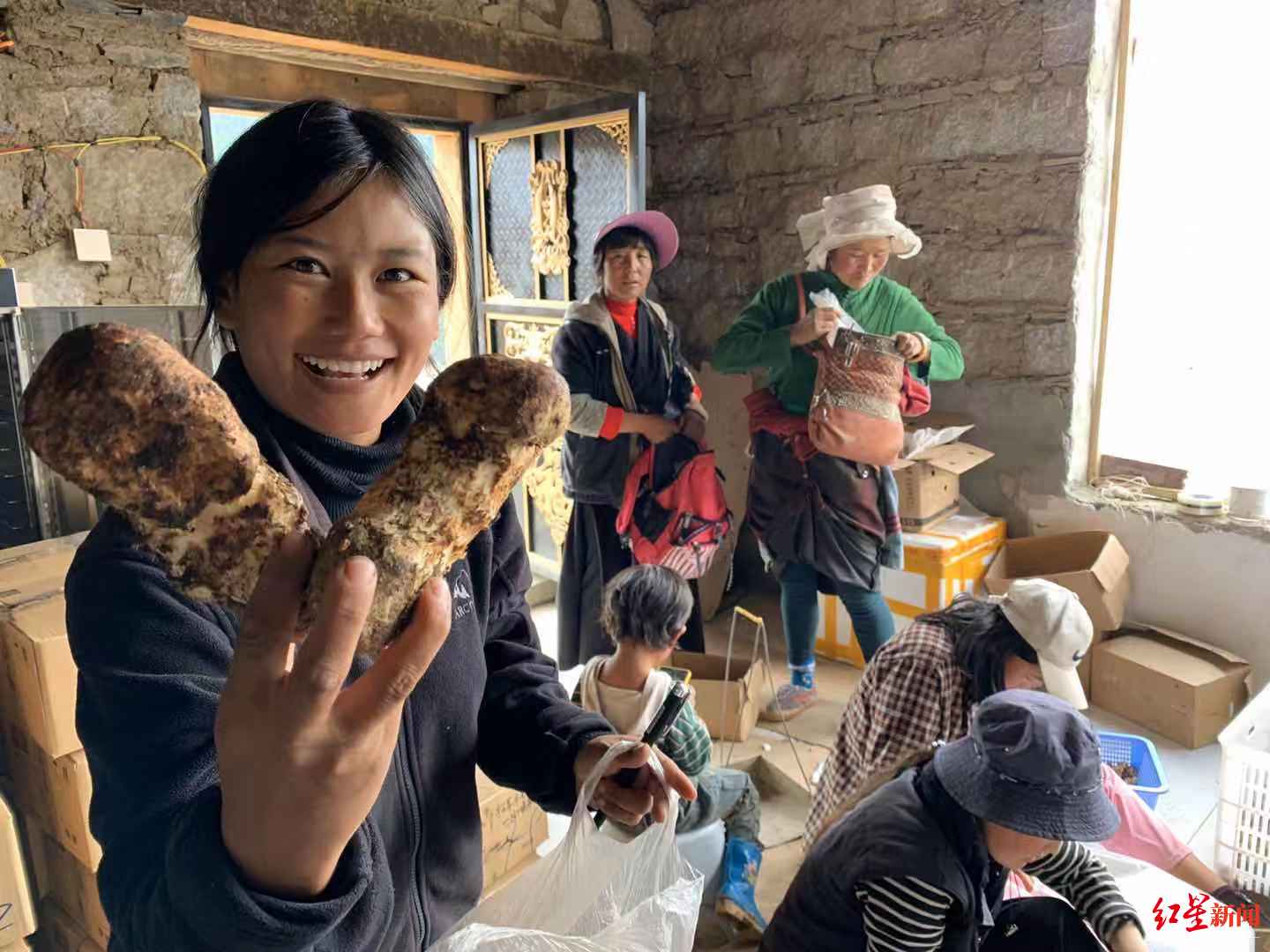 乡村"李佳琦"们年入几十万的秘密_卓姆