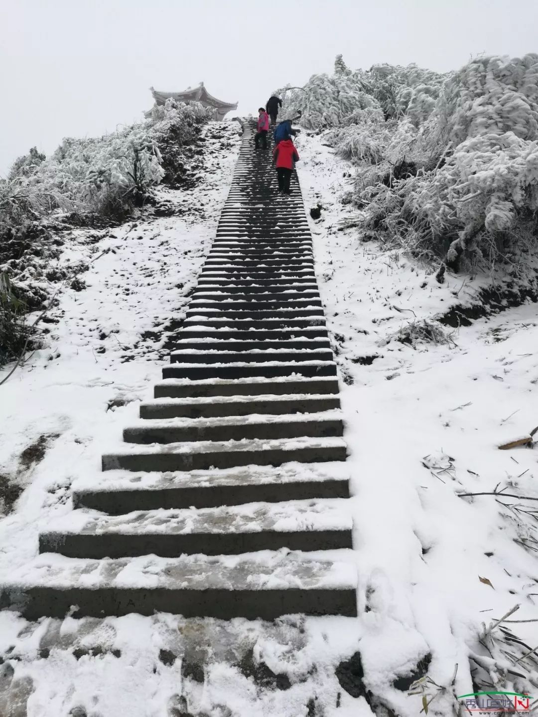 驴队快递 冰雪覆盖轿子顶