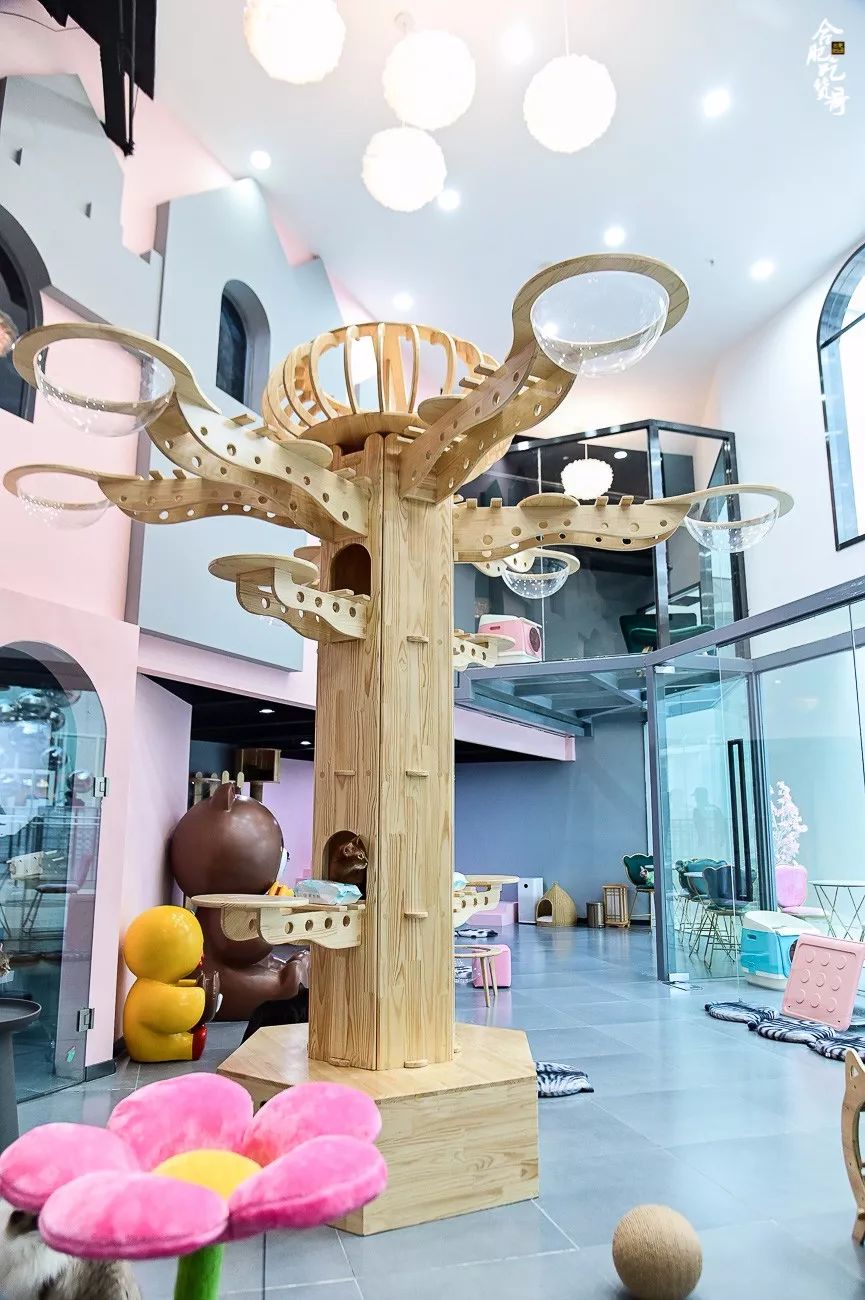 之心城厉害了!∞号盒子美食街区来了,还有15家排队神店!