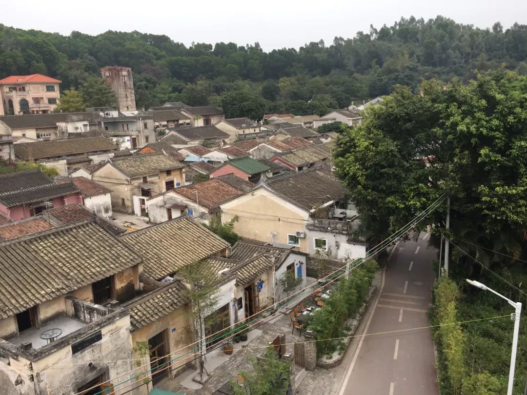 邓春儒鳌湖现象是一个社会学模型的独立研究样本艺术地图巡礼深圳之五