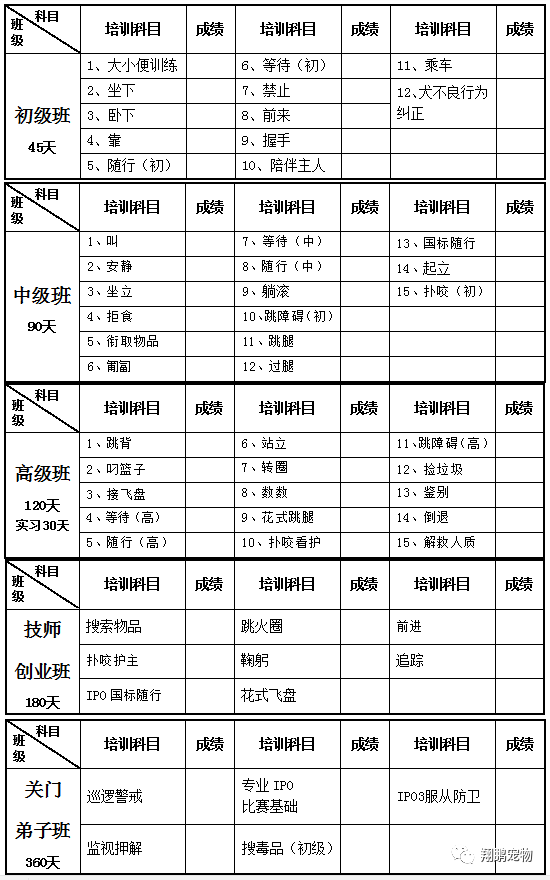 发展速度快发展前景好的行业训犬师