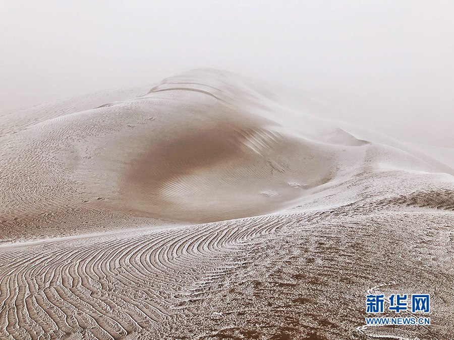 新华网 李梦婷 摄