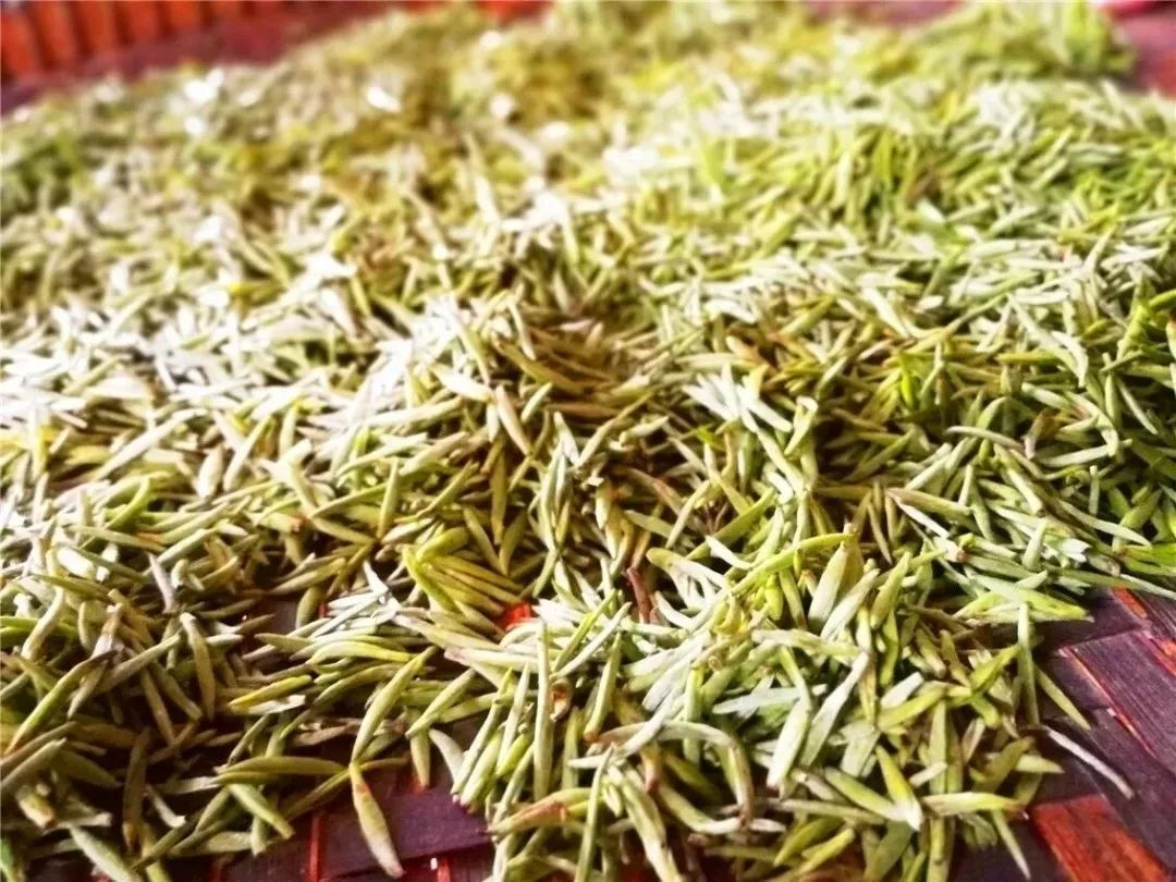 凉都快报|"特优"级气候品质认证品牌!这是"水城春"的新名片!_茶叶