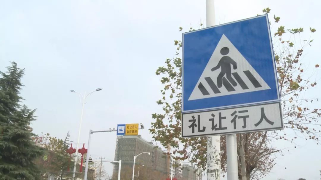 6处礼让行人电子抓拍