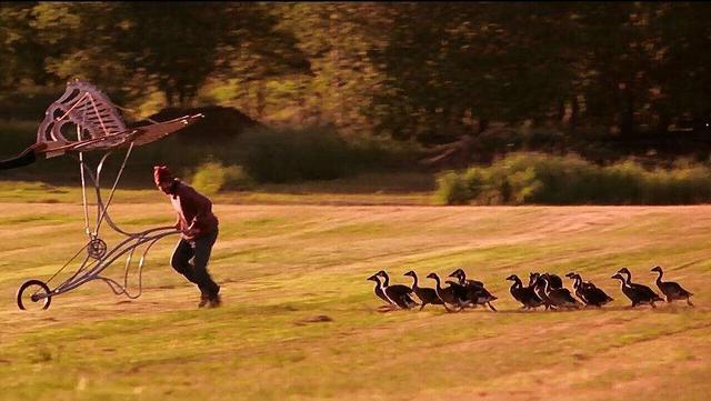 豆瓣89的小众电影伴你高飞环保理念与亲情成长的完美契合