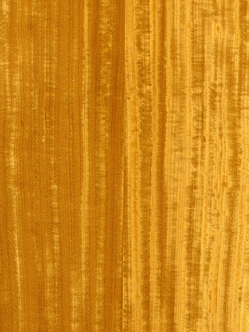 (印度椴木 蜂翅影)纹理通常是相互交错的,板面形成一个有吸引力的翅蜂