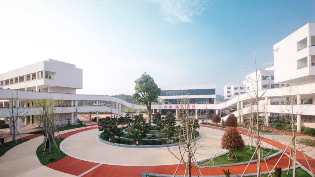 创现我们在行动丽水市文元学校让每一个教师都闪光让每一个孩子都灿烂