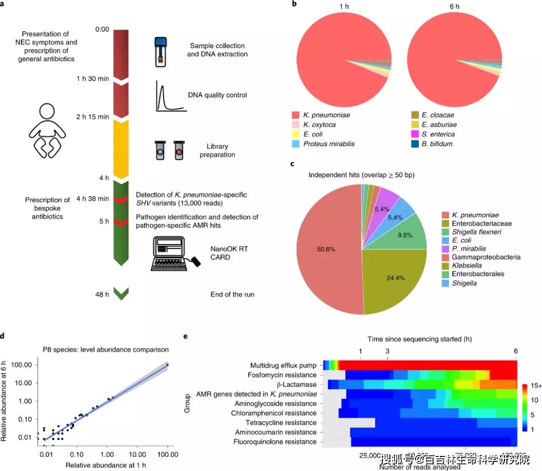 minion临床宏基因组测序揭示早产儿肠道微生物多样性