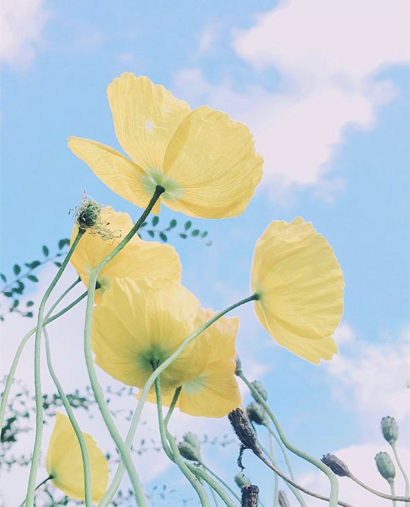 他们拍的照片,张张美得像诗!