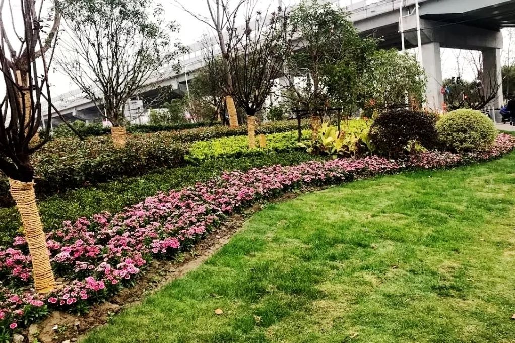 绿化变彩化转角遇到美这13个身边小景你get了吗
