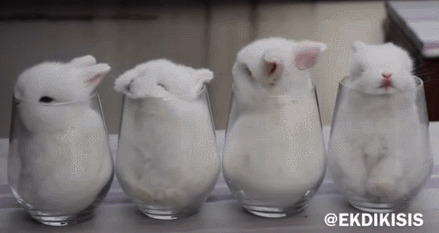 439_233gif 动态图 动图