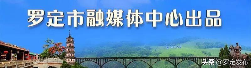 罗定市第二小学在哪里?不知道什么时候建好的速看(图2)