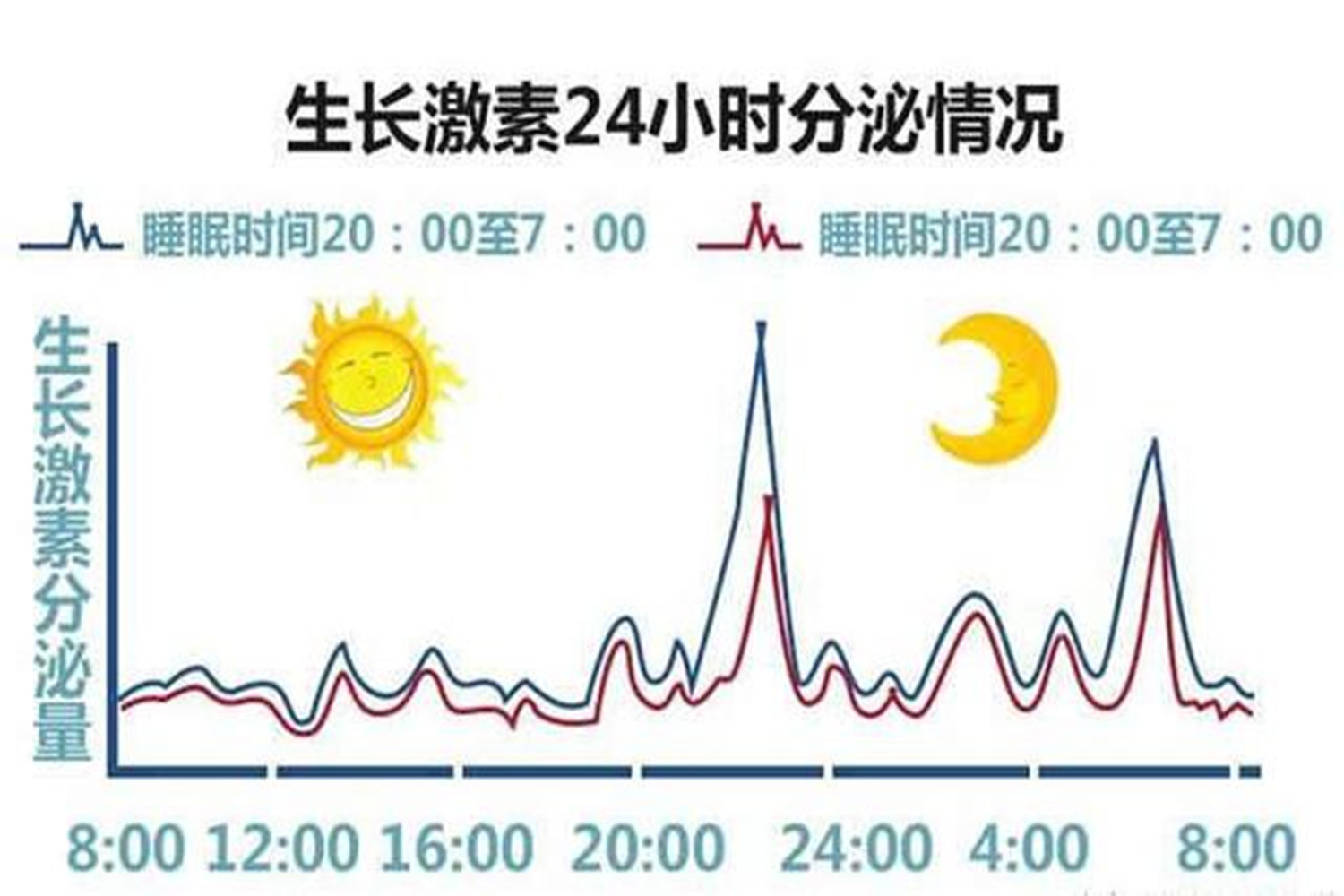 脑垂体分泌生长激素图片