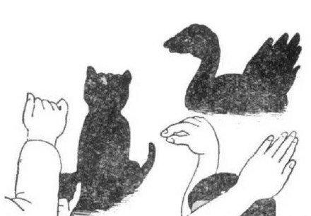 50款手影和孩子一起玩,简单又有趣,家长请收藏