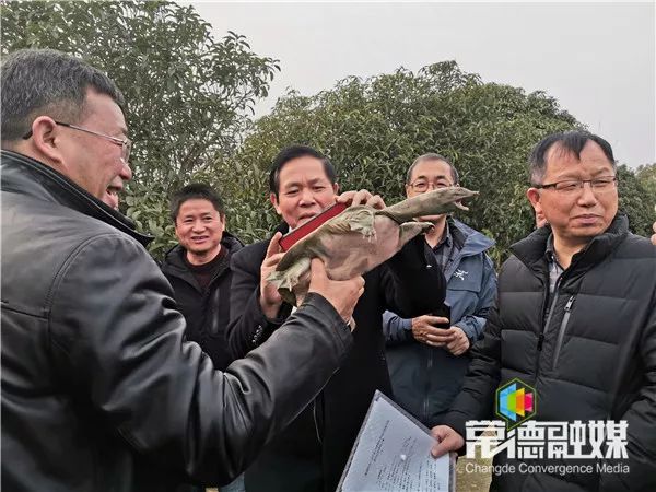 "常德甲鱼"通过农产品地理标志登记目录外审定