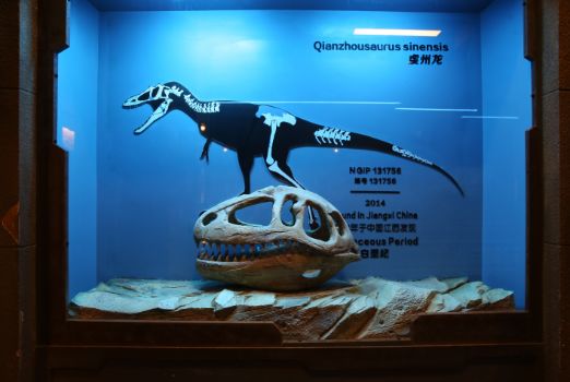 穿越侏罗纪世界探秘常州中华恐龙园恐龙基因研究中心