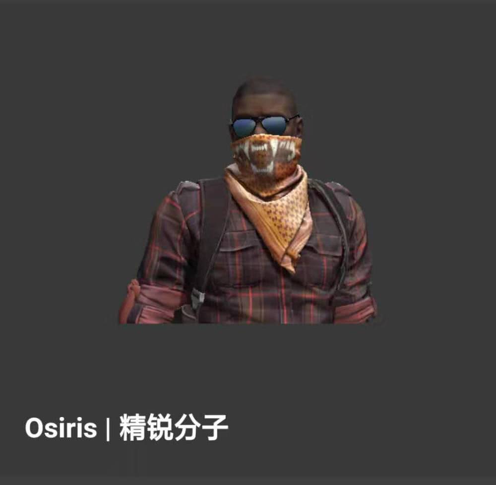 csgo卓越探员篇