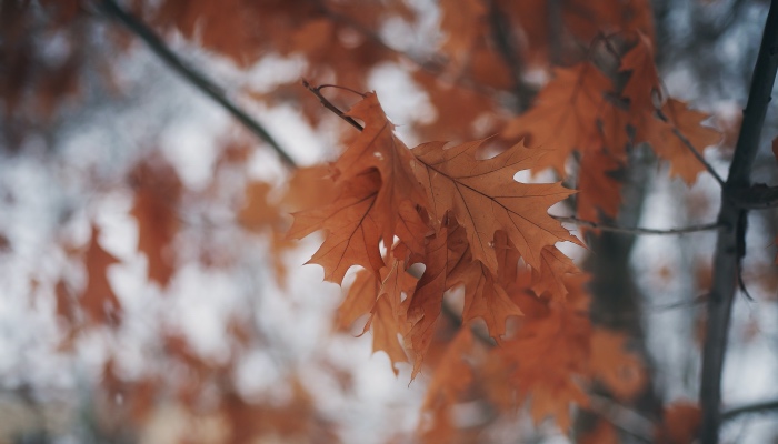 忘掉市场的糟糕和差劲，家电厂商未来心里只能装下一个人-家电圈官网