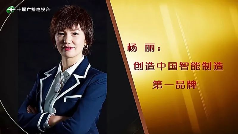 十堰姑娘18岁独闯深圳如今36岁做成中国行业标杆